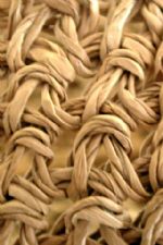 Click To View This Image