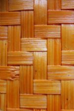 Click To View This Image