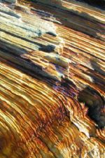 Click To View This Image