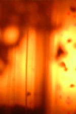 Click To View This Image