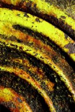 Click To View This Image