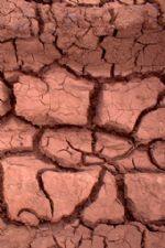 Click To View This Image