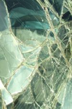 Click To View This Image