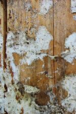 Click To View This Image