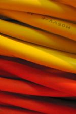 Click To View This Image