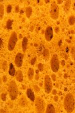 Click To View This Image