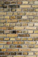 Click To View This Image