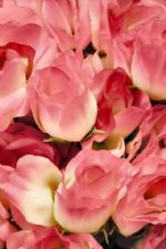 Click To View This Image