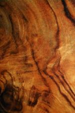 Click To View This Image