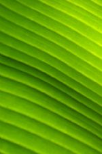 Click To View This Image