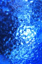 Click To View This Image