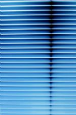 Click To View This Image