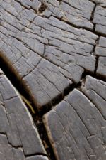 Click To View This Image