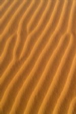 Click To View This Image