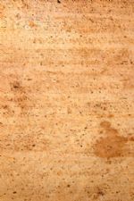 Click To View This Image