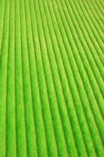 Click To View This Image