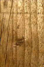 Click To View This Image