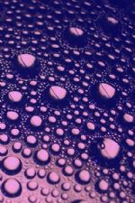 Click To View This Image