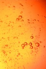 Click To View This Image