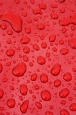 Click To View This Image