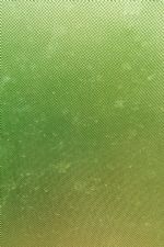 Click To View This Image