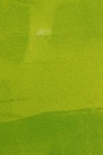 Click To View This Image