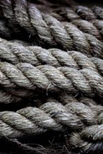 Click To View This Image