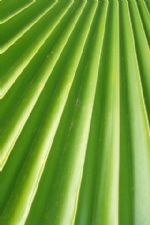 Click To View This Image