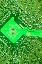 Click To View This Image