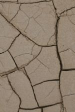 Click To View This Image