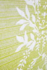 Click To View This Image