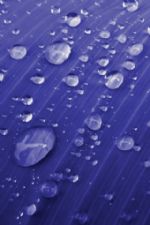 Click To View This Image