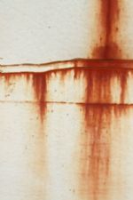 Click To View This Image