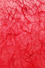 Click To View This Image