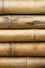 Click To View This Image