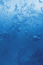 Click To View This Image