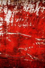 Click To View This Image