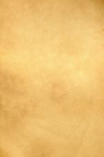 Click To View This Image