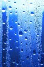 Click To View This Image