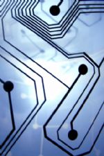 Click To View This Image