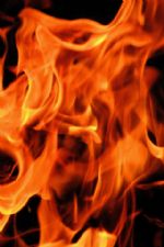 Click To View This Image