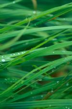 Click To View This Image