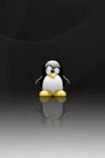 Click To View This Image