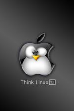 Click To View This Image