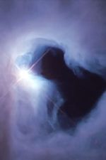 Click To View This Image