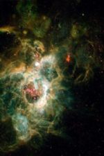 Click To View This Image