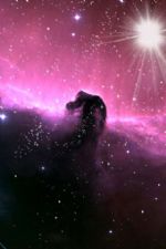 Click To View This Image