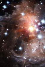 Click To View This Image