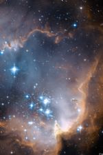 Click To View This Image