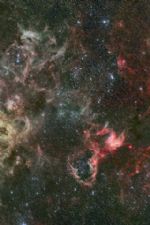 Click To View This Image